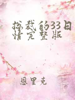 总裁的33日索情完整版