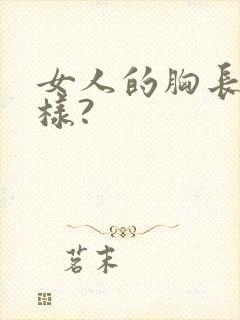 女人的胸长什么样?