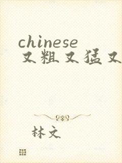 chinese又粗又猛又黄又爽的视频在线观看