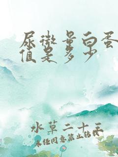 尿微量白蛋白的值是多少