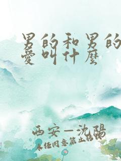 男的和男的谈恋爱叫什么