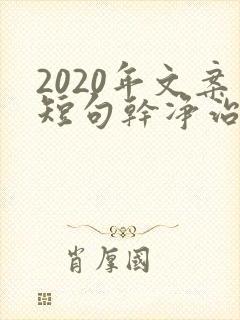 2020年文案短句干净治愈