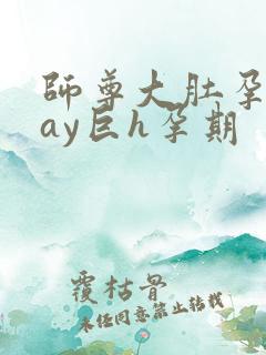 师尊大肚孕play巨h孕期