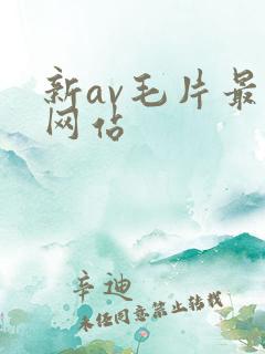 新av毛片最大网站