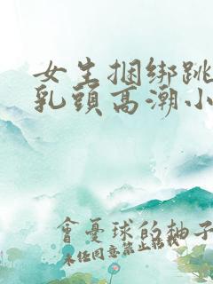 女生捆绑跳蛋玩乳头高潮小说