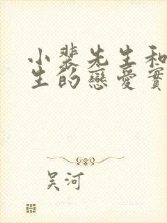 小裴先生和沈先生的恋爱实录