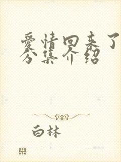 爱情回来了剧情分集介绍