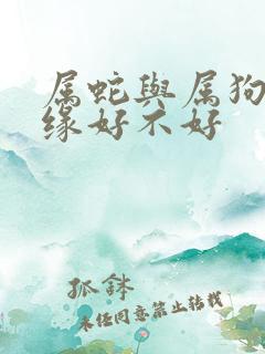 属蛇与属狗的姻缘好不好