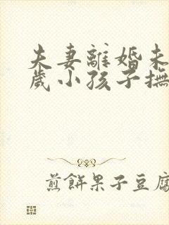 夫妻离婚未满两岁小孩子抚养权归谁