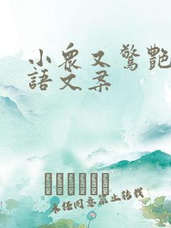 小众又惊艳的花语文案