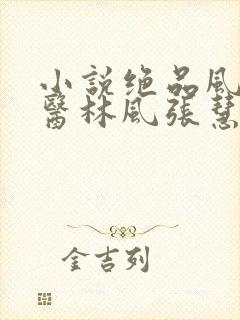 小说绝品风流狂医林风张慧下载全文