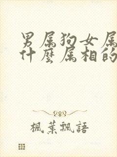 男属狗女属猪生什么属相的孩子好