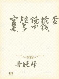 宫腔镜检查费用是多少钱