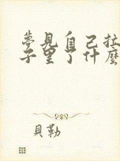 梦见自己拉裤兜子里了什么意思