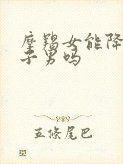 摩羯女能降服双子男吗