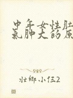 中年女性肚子胀气肿大的原因