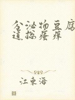 分泌物豆腐渣阴道总瘙痒