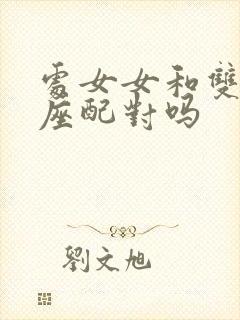 处女女和双子男座配对吗