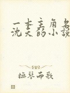 一本主角名字叫沈天的小说