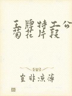 王牌特工公主送菊花片段