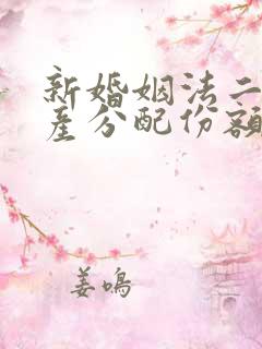 新婚姻法二婚遗产分配份额