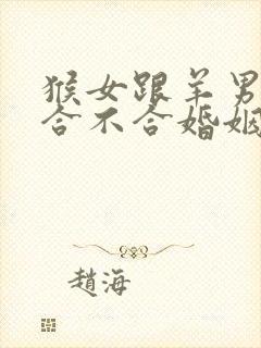 猴女跟羊男属相合不合婚姻