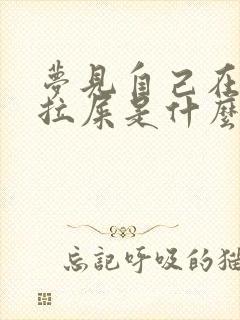 梦见自己在外面拉屎是什么意思