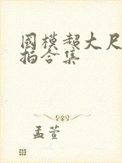 国模超大尺度私拍合集