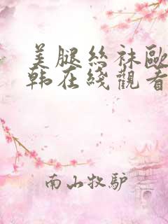 美腿丝袜欧美日韩在线观看