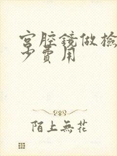 宫腔镜做检查多少费用