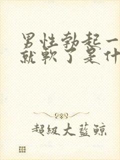 男性勃起一会儿就软了是什么原因