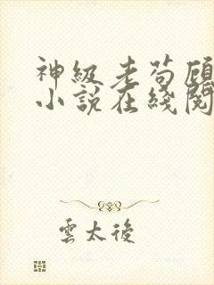 神级老苟顾安的小说在线阅读全文