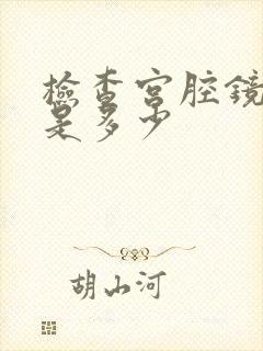 检查宫腔镜收费是多少