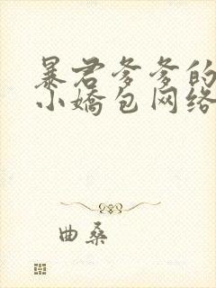 暴君爹爹的团宠小娇包网络小说