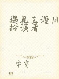 遇见王沥川苏群扮演者