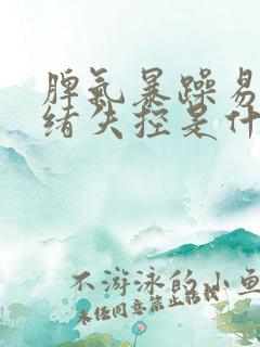 脾气暴躁易怒情绪失控是什么原因