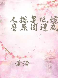 人总是低烧是什么原因造成的