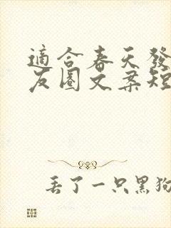 适合春天发的朋友圈文案短句