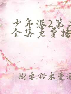 少年派2第二季全集免费播放