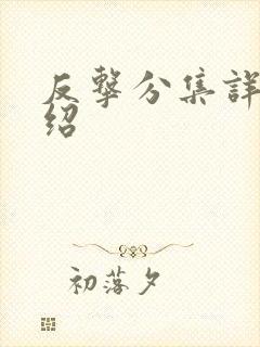 反击分集详细介绍