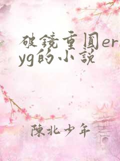 破镜重圆erryg的小说