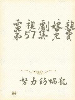 电视剧娘亲舅大第57集免费观看