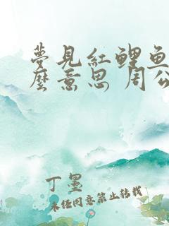 梦见红鲤鱼是什么意思 周公解梦