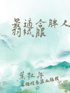 最适合胖人穿的羽绒服