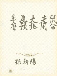 梦见大老鼠是什么预兆周公解梦