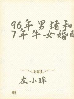 96年男猪和97年牛女婚配好吗