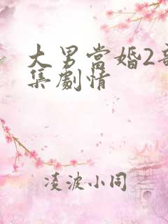 大男当婚2部全集剧情