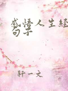 感悟人生经历的句子