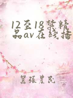 12至18禁精品av在线播放