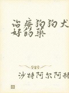 治疗狗狗犬瘟最好的药